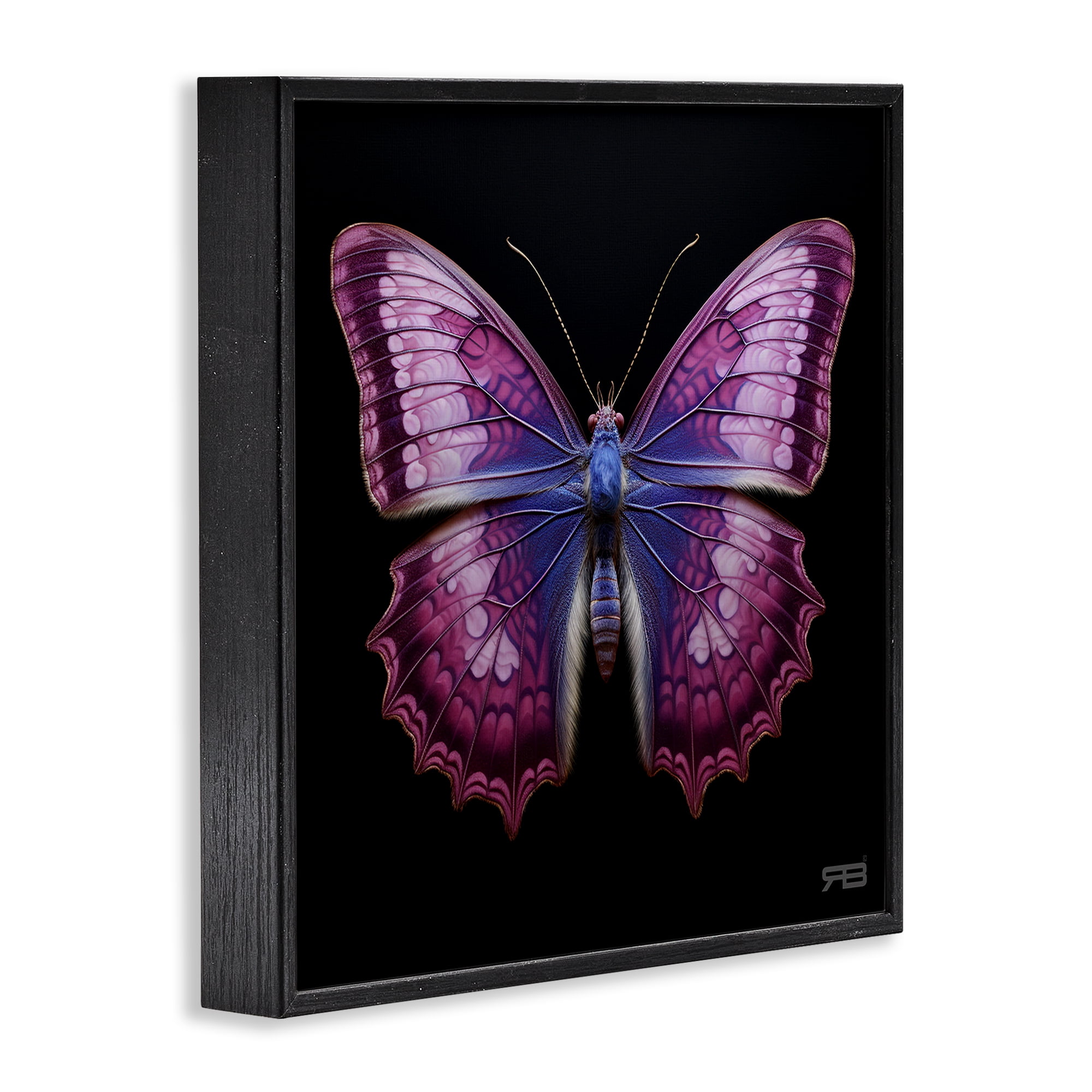 Stupell Industries Vivid Purple Butterfly Animals & Insects Painting Black Framed Art Print Wall Art, 17 x 17