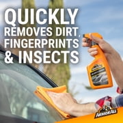 Armor All Automotive Ammonia Free Glass Cleaner Spray, 22 fl oz