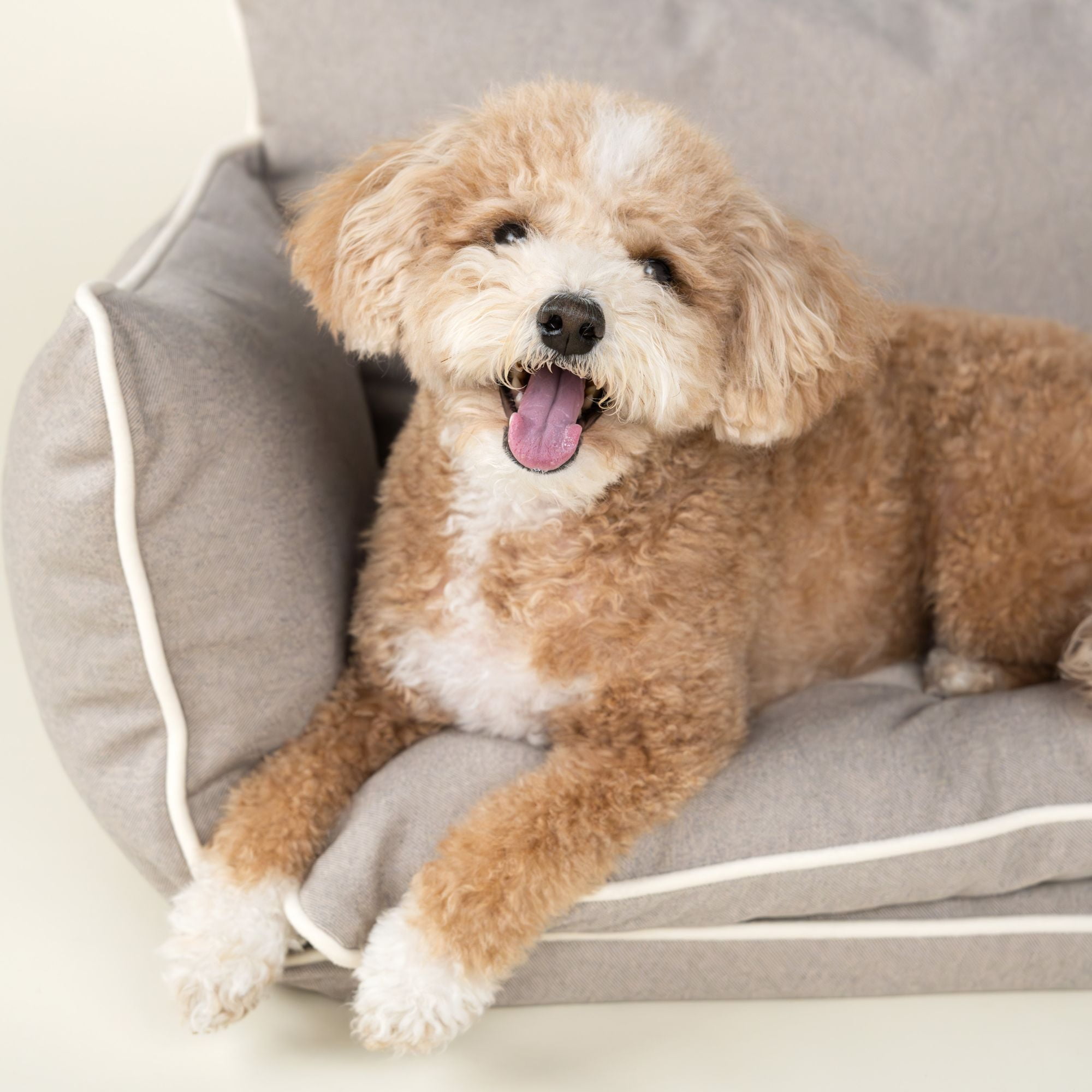Harry Barker Comfy Couch Lounger Bed for Pets with Faux Wool and Eco-Friendly Poly Fill