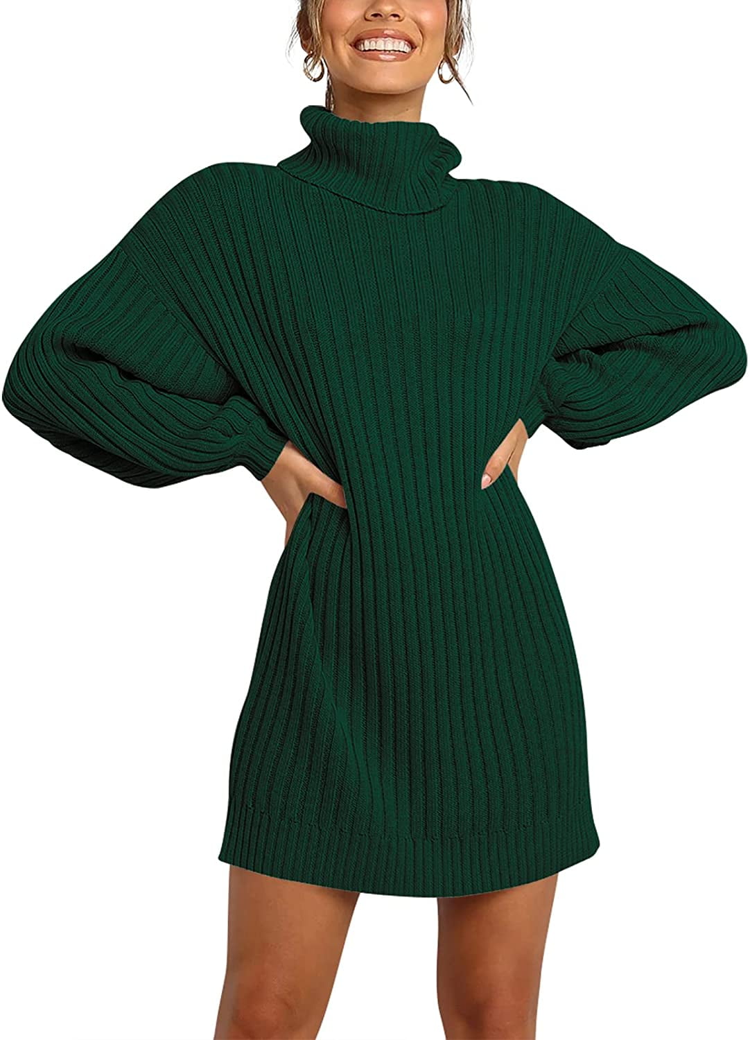 Women Turtleneck Long Lantern Sleeve 