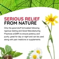 thumbnail image 3 of MediNatura T-Relief Arnica +12 Natural Relieving Actives - Whole Body Fast Acting Relief for Women & Men - 100 Tablets (2 pack), 3 of 9