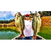 Strike King Rage Swimmer 4 3/4