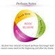 thumbnail image 2 of Perfume Zoha Rose Bloom sin alcohol de 30 ml para mujeres y hombres, 2 of 5