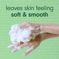 thumbnail image 5 of Softsoap Moisturizing Body Wash for Dry Skin, Mint and Eucalyptus, 20 fl oz Bottle, 5 of 13
