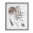 thumbnail image 5 of Melrose International Framed Fern Print (Set of 6), 5 of 7