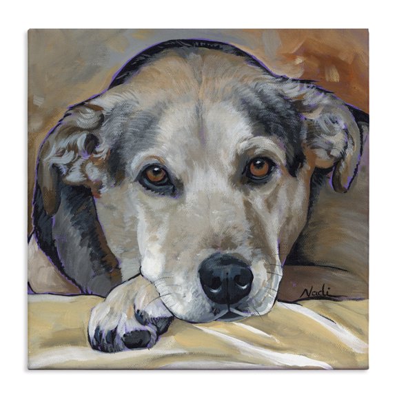 Stupell Industries Eclectic Cozy Dog Portrait Canvas Art, 17 x 17, by Nadi Spencer