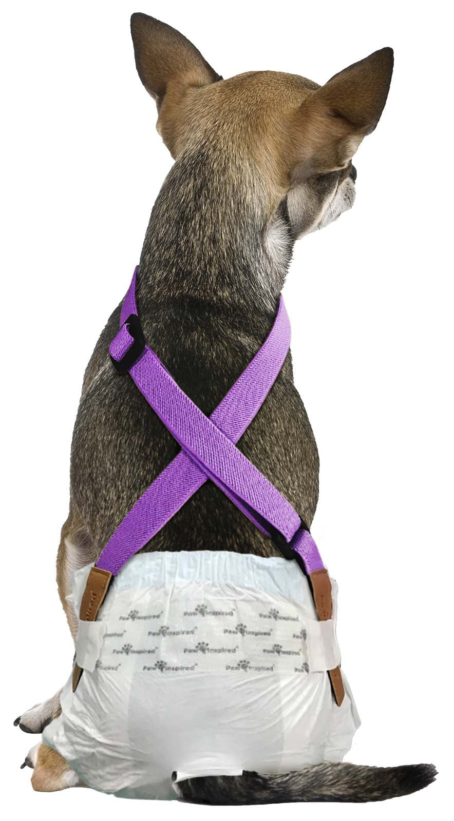 Paw Inspired Dog Diaper Suspenders Keep Male Dog Wraps and Female Dog