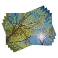 thumbnail image 1 of Ambesonne Scenery Place Mats Set of 4, Pastoral Tree Branch, Standard Size, Green Blue, 1 of 6