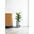 thumbnail image 5 of Veradek Demi Series Raised 12" Plastic-Stone Planter - (White/Black, 1 Pack), 5 of 9