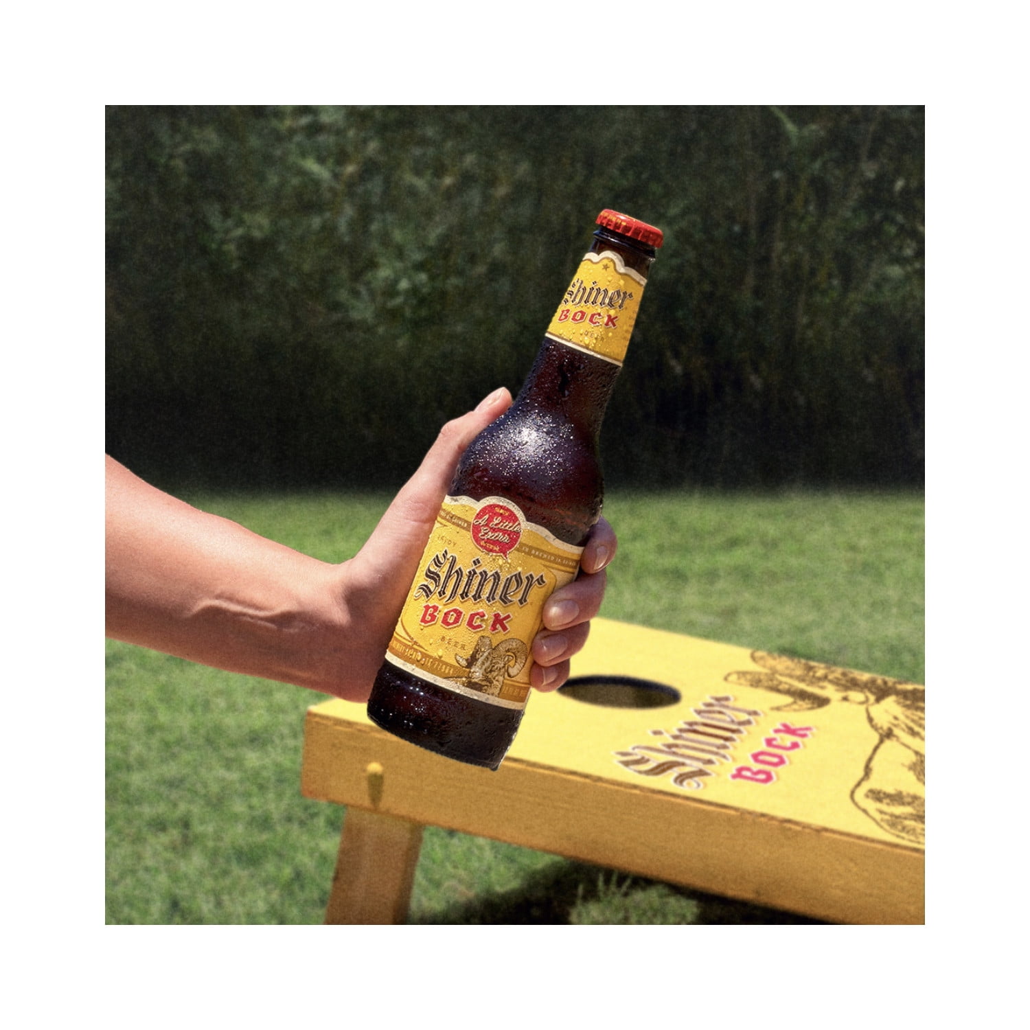 Shiner Bock, 12 pack, 12 fl oz
