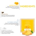 thumbnail image 5 of Khadi Traditional Mango Burst Handmade Soap, 5 of 5