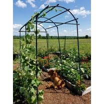 Gardener's Supply Company Titan Squash Tunnel, Over The Top Trellis 80" High