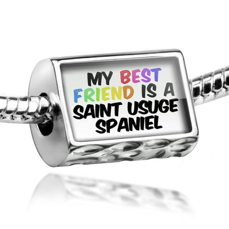 Bead My best Friend a Saint-Usuge Spaniel Dog from France Charm Fits All European