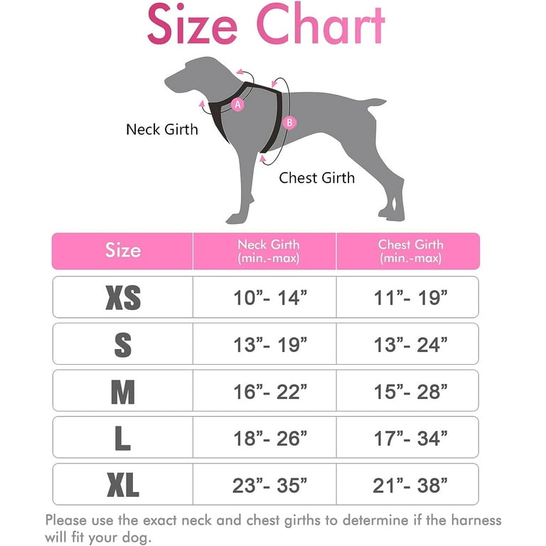 NSXXKJ Dog Harness, No-Pull Pet Harness with 2 Leash Clips
