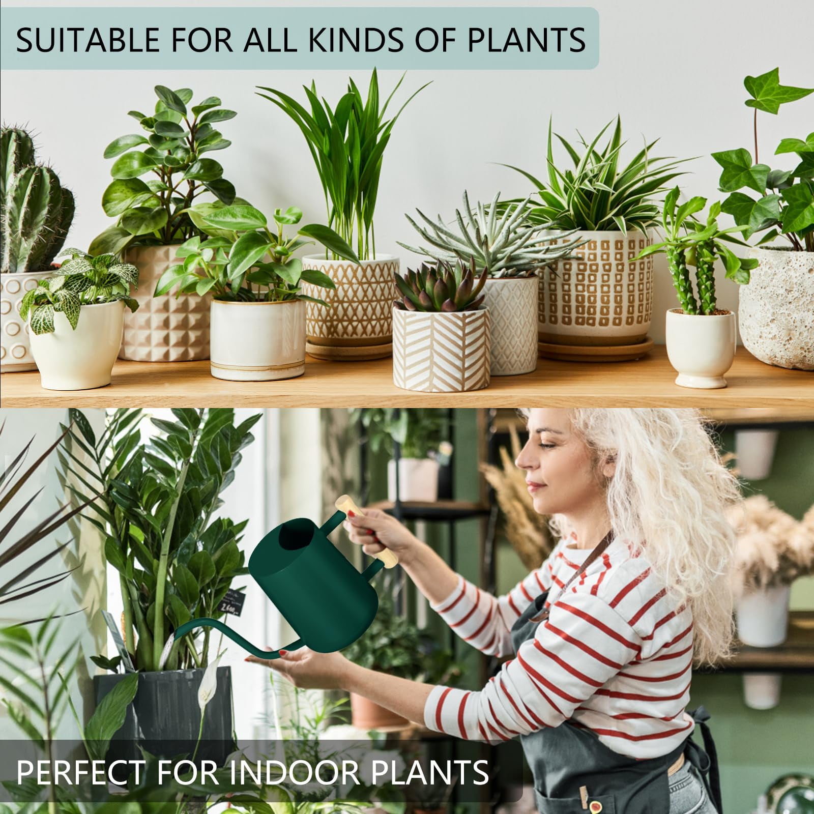 Watering Can Indoor Plants, 35oz Small Stainless Steel Metal Watering Can Modern Decorative Watering Pot