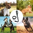 thumbnail image 5 of Dog collar and Leash Set, Nylon collar and leash for dog classic solid color,, 5 of 5
