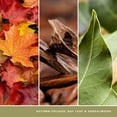 thumbnail image 5 of Yankee Candle Signature Votive Mini Candle Jar - Autumn Nature Walk Scent - Natural Soy Wax Blend Candle with Natural Fiber Wick, 1.3 OZ Glass Jar (Pack of 2), 5 of 5