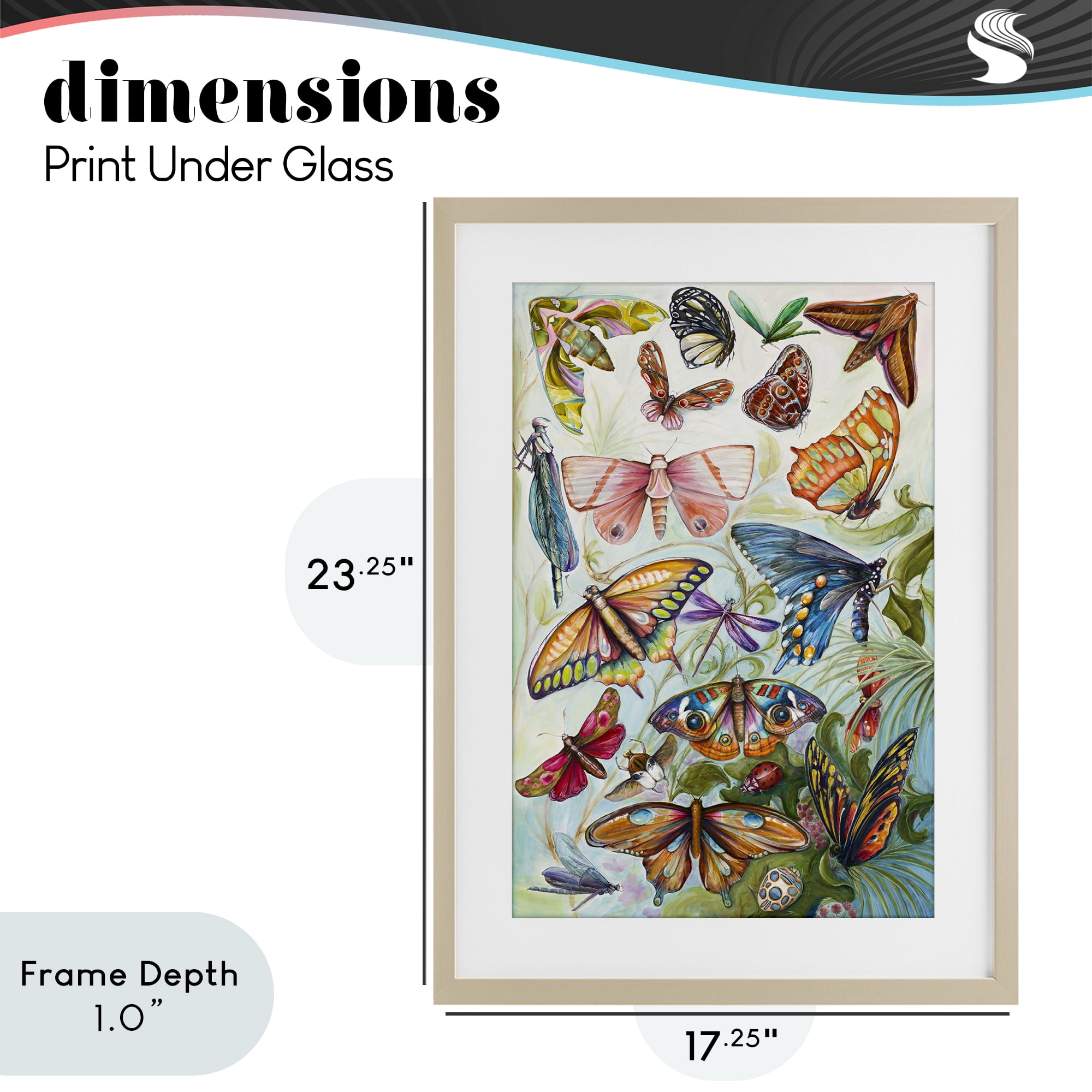 Stupell Industries Colorful Butterfly Conservatory Birch Framed Print Under Glass, design by Diannart