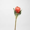 thumbnail image 4 of D&W Silks - White Large Protea Flower Stem - Set of 3, 4 of 9