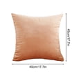 thumbnail image 3 of Euahivb Velvet Throw Pillow 17.7x17.7 Inch Soft Plush Cushion for Sofa Couch Living Room Bedroom Home Decor Accessories, 3 of 6