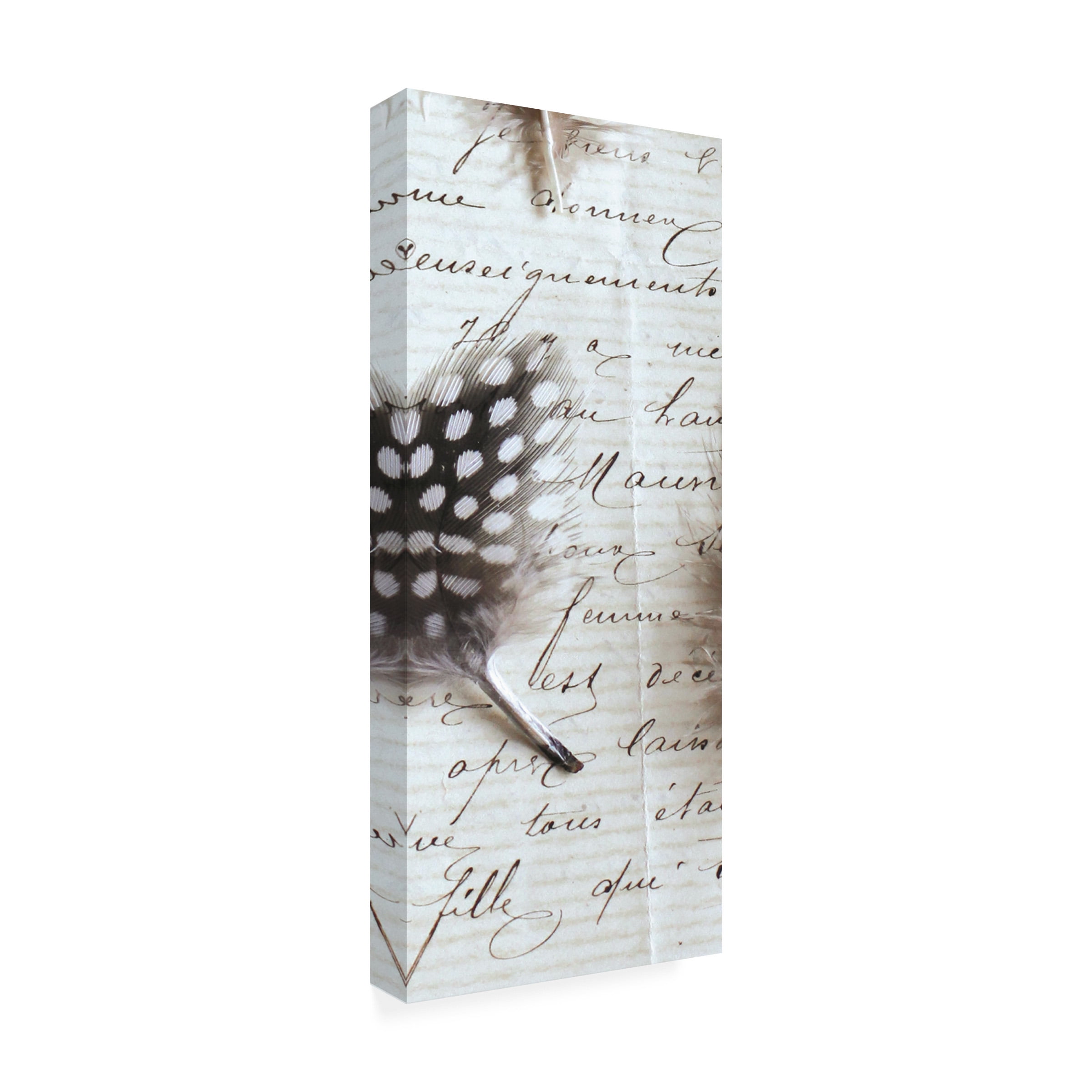 Trademark Fine Art 'Plume Feathers V Crop I' Canvas Art by Sue Schlabach