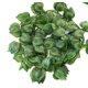 thumbnail image 1 of Hoja de sandía hiedra artificial, 12 unidades, guirnaldas de plantas artificiales, hojas artificiales, guirnaldas de hiedra de hoja caduca, decoración para bodas, cocinas, jardines y oficinas JM MX-0138922FYD, 1 of 4