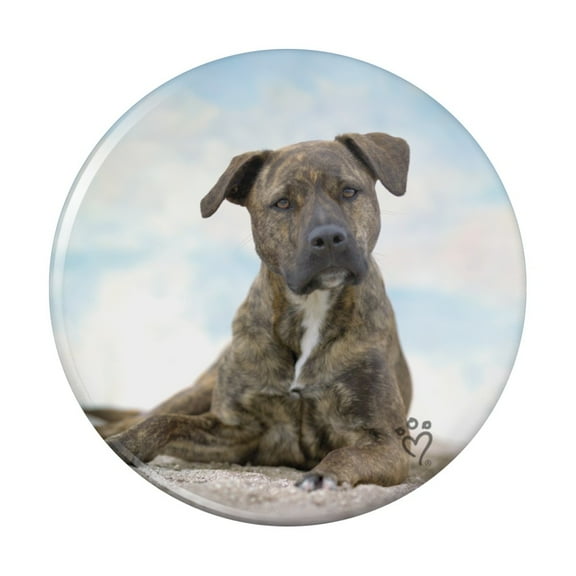 Staffy Staffordshire Bull Terrier Dog Sandy Beach Kitchen Refrigerator Locker Button Magnet