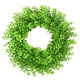 thumbnail image 3 of Corona de puerta Corona de boj para decoración de puerta de entrada Corona de hojas verdes artificiales Estilo01, 3 of 9