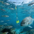 Automatic Floating Rig with Bottom Finder Line 120M Rigged Tied Line ...