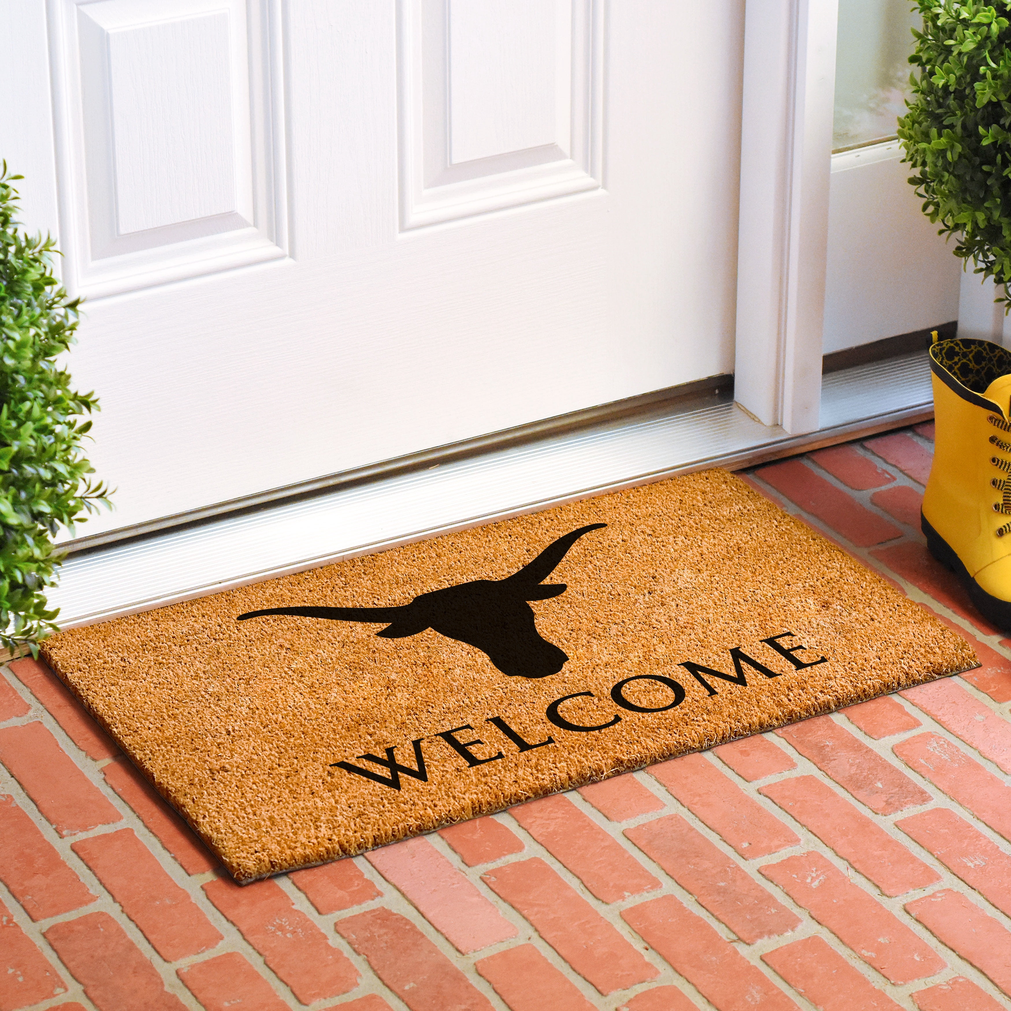 Calloway Mills 108672448 Longhorn Welcome Doormat, 24" x 48"