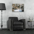 thumbnail image 4 of Epic Art 'Winter Sage-Coyote' by Ron Parker, Acrylic Glass Wall Art, 24"x16", 4 of 8
