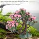 thumbnail image 1 of Algas Verdes Artificiales, Plantas Acuáticas Vívidas, Decoraciones Para Peceras Para Acuario, Hermoso Escondite, Se Extiende Con Gracia, Ambiente Sin Estrés, 1 of 7