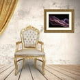 thumbnail image 3 of Westum, Heidi 18x13 Gold Ornate Wood Framed with Double Matting Museum Art Print Titled - Floating Purple In Pink, 3 of 4