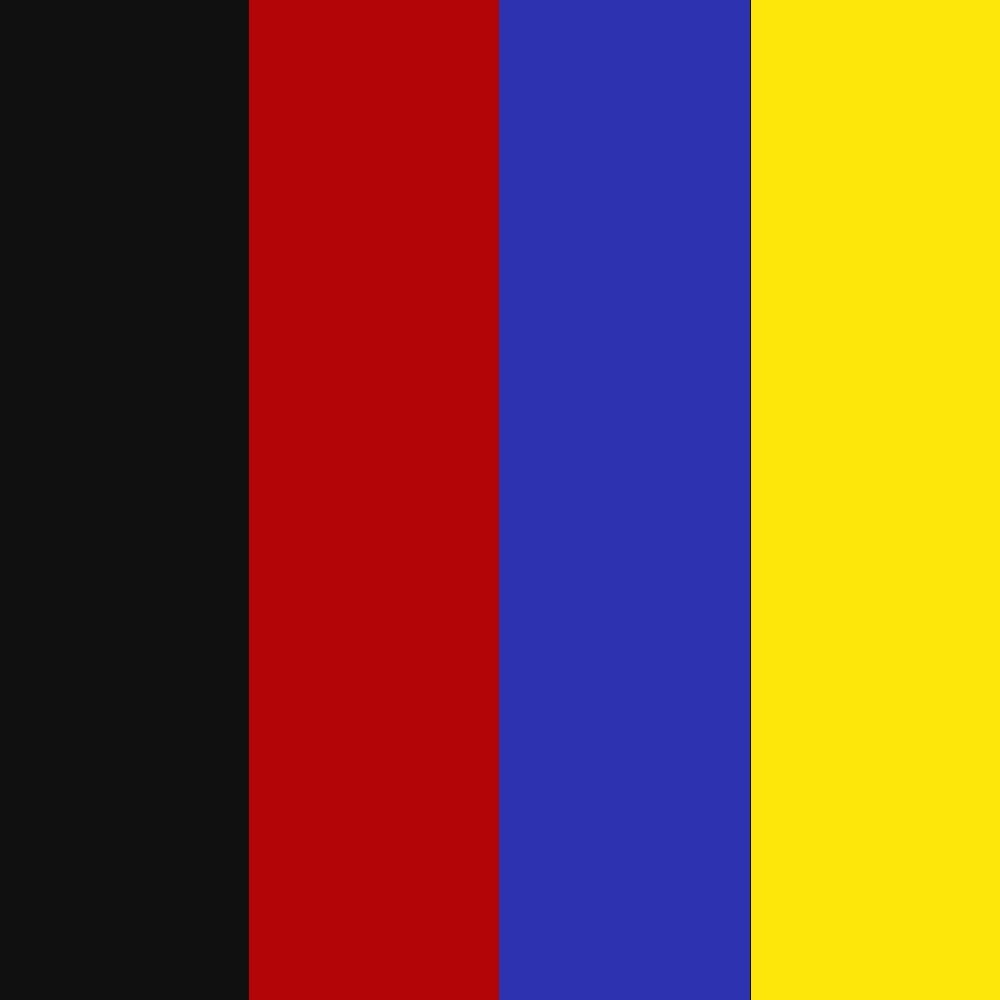 10 Gauge (100ft Each - Black/Red/Blue/Yellow)
