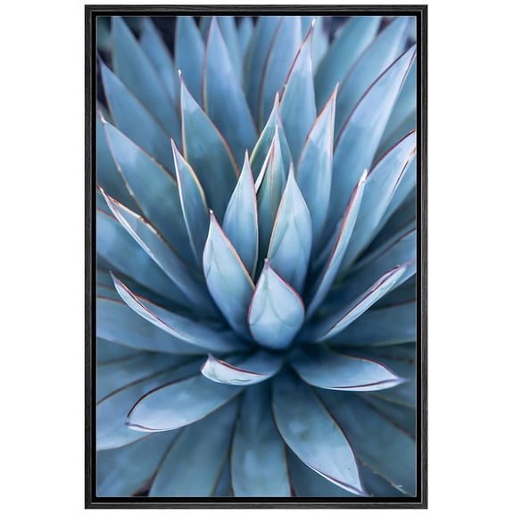 wall26 Framed Canvas Print Wall Art Blue Pastel Agave Desert Cactus Succulent Nature Wilderness Photography Realism Floral Botanical Multicolor for Living Room, Bedroom, Office - 16"x24" Bl