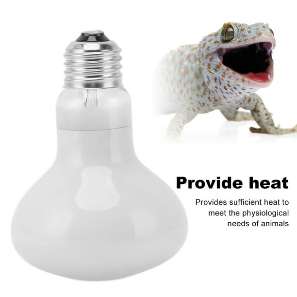 Day and night sales reptile heat lamp