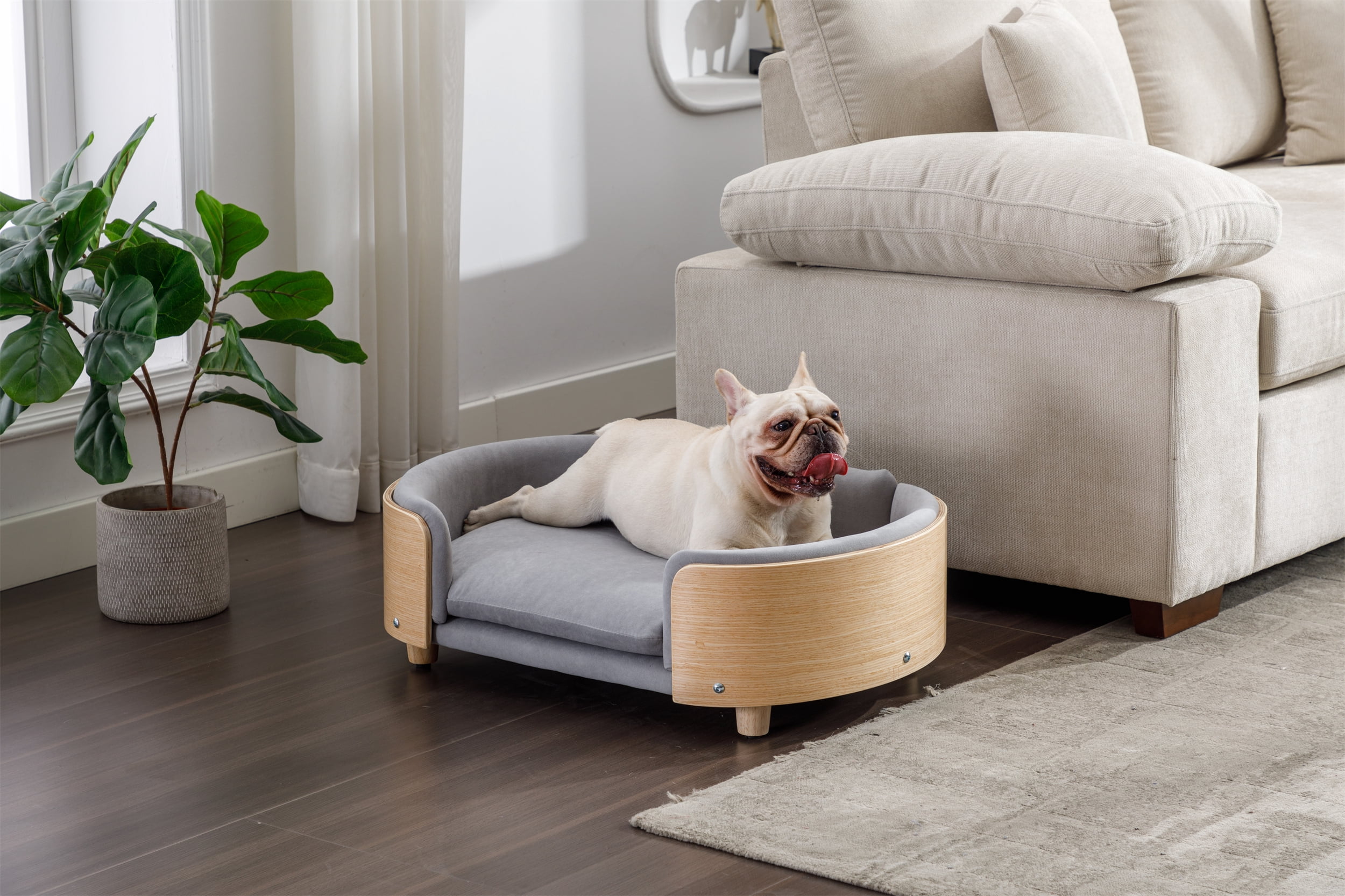 Elevated Dog Bed Pet Sofa with Solid Wood Legs & Bent Wood Back, Velvet Cushion, Mid Size Light Grey