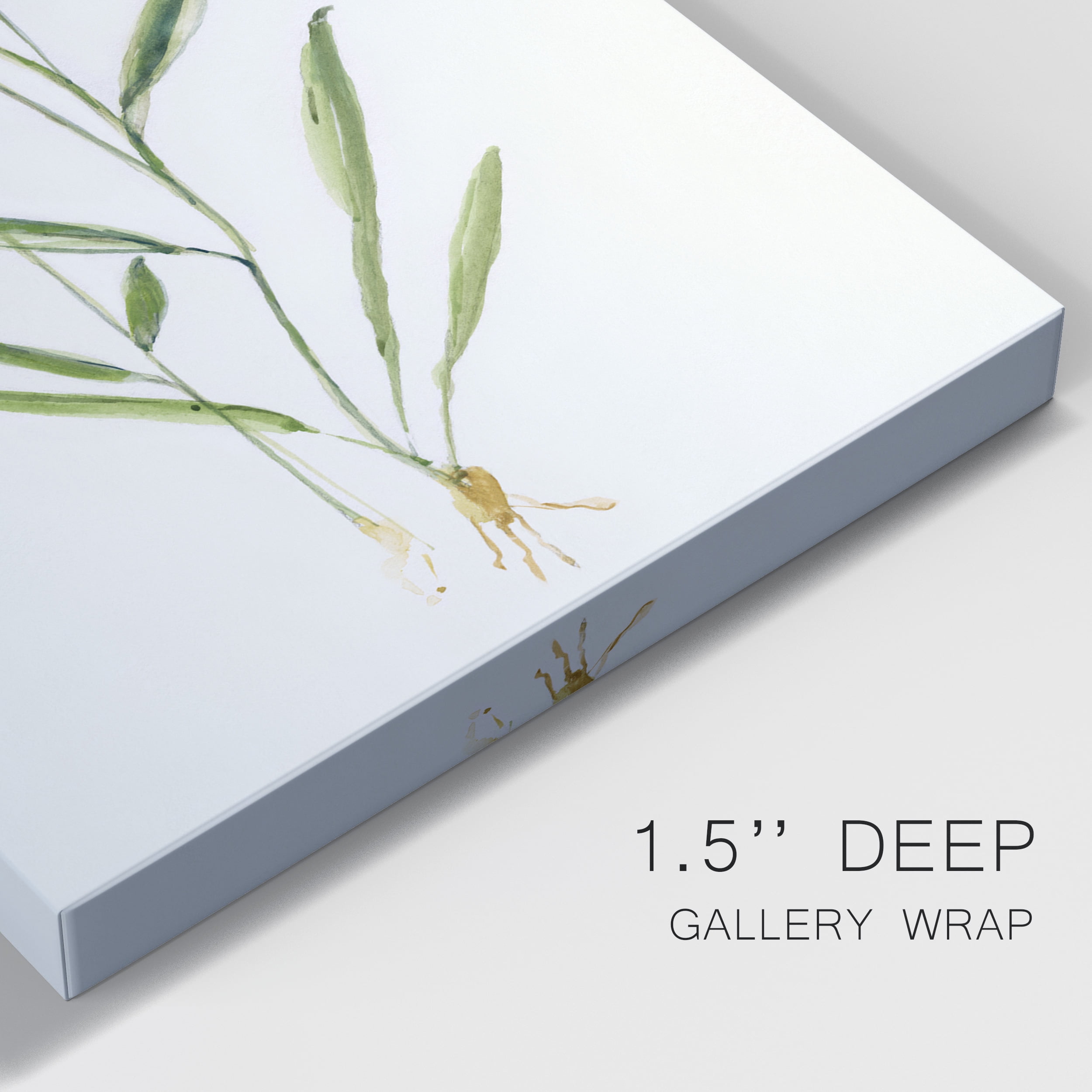 Delicate Pink II Premium Gallery Wrapped Canvas - Ready to Hang - 8 x 12