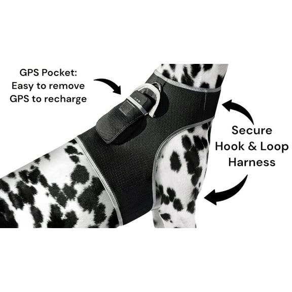 Global Pet Finder GPS Pet Tracker Waterproof MIni Collar Mount Device Size:M