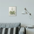 thumbnail image 2 of Stupell Industries Botanical Plant Illustration Ferns Vintage Design Framed Wall Art by Unknown, 11" x 14", Gray Framed, 2 of 8