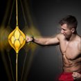 thumbnail image 4 of Balle de Boxe Universelle à Double Extrémité Suspendue avec Pompe et Crochet, 4 of 8