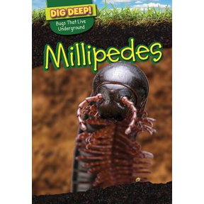 Pre-Owned Millipedes (Paperback) 1499420587 9781499420586