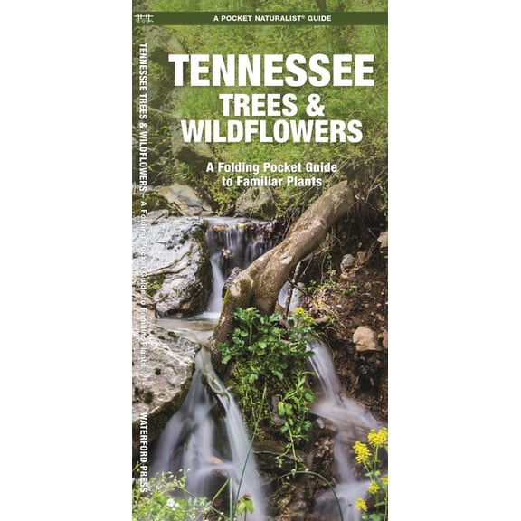 Nature Observation North America Tennessee Trees & Wildflowers, (Paperback)