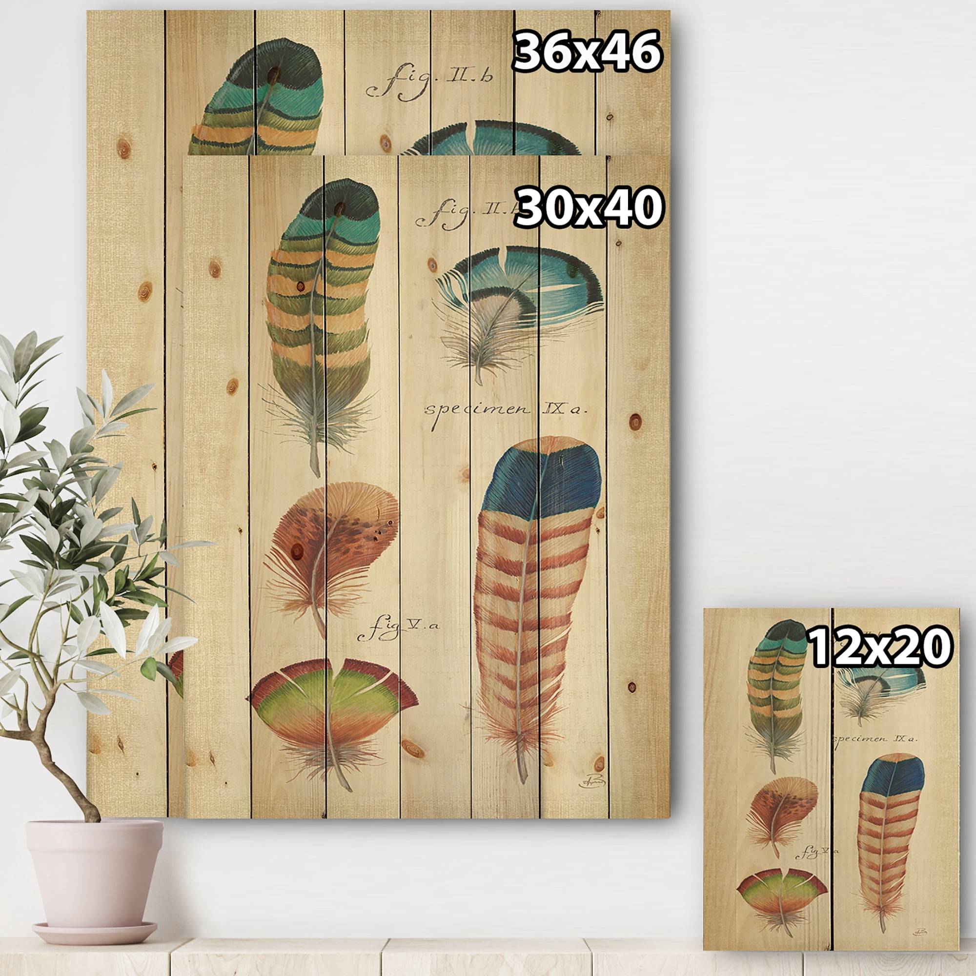 Designart 'Cottage Feathers Family II' Cabin & Lodge Print on Natural Pine Wood