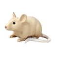 thumbnail image 3 of Estatuilla de pollo,Ratas Realistas Ratón Falso Ratones Realistas Juguete,Figuras de animales Ratones Juguete Estatuilla Diorama Modelo,Esculturas de ratones de simulación hechas a 2 piezas, 3 of 9