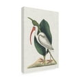 thumbnail image 2 of Mark Catesby 'Catesby Heron VI' Outdoor Canvas, 2 of 3