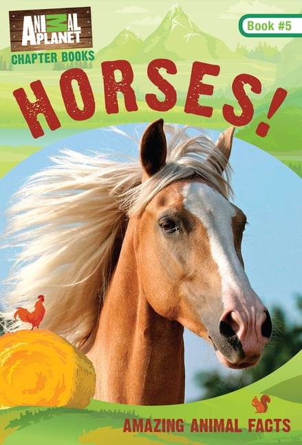 animal planet horse animal planet horse