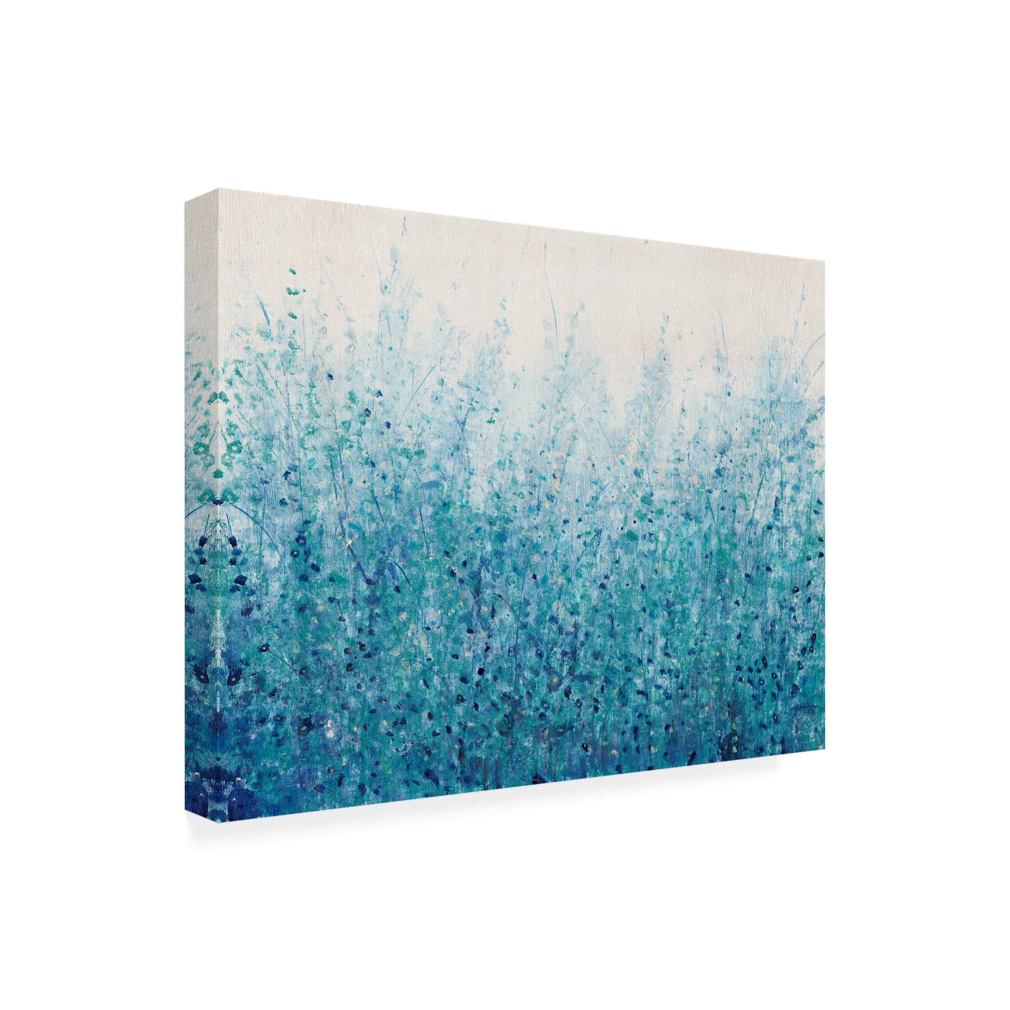 Trademark Fine Art 'Misty Blues II' Canvas Art by Tim OToole