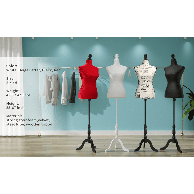 Bonnlo Female Sewing Mannequin, Size 6 Professional Dress Form for Display  and Tailor Design, Height Adjustable Torso with Stable Metal Base (with