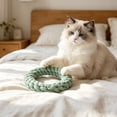 thumbnail image 5 of Durable Chew-Resistant Dog Rope Toy for Medium Large Breeds, Natural Fiber Tug-of-War Molar and Teeth Cleaning Toy, Interactive Play Cotton Rope for Canines, 5 of 6
